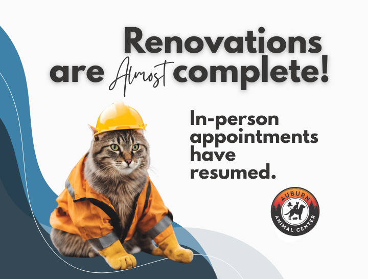 Exciting Renovations Are Almost Complete!